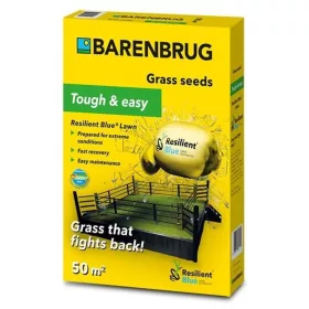 Barenbrug Resilient Blue Lawn 1 kg ellenálló fűmag