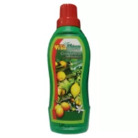 Dísznövények ápolása