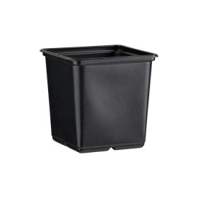 Desch Plantpak palántanevelő cserép 11x11x12 cm, fekete magvetéshez, palántaneveléshez