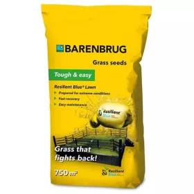 Barenbrug Resilient Blue Lawn 15 kg ellenálló fűmag
