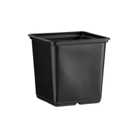 Desch Plantpak palántanevelő cserép 11x11x12 cm, fekete magvetéshez, palántaneveléshez